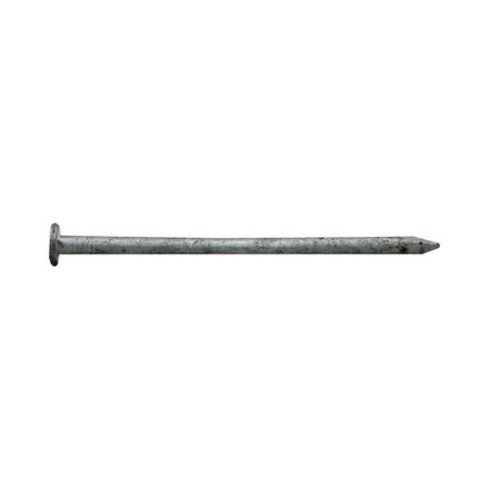 Pro-Fit Common Nail, 3 im L, 10D 0054175